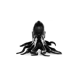 章鱼椅 马克西姆·里埃拉  Maximo Riera家具品牌